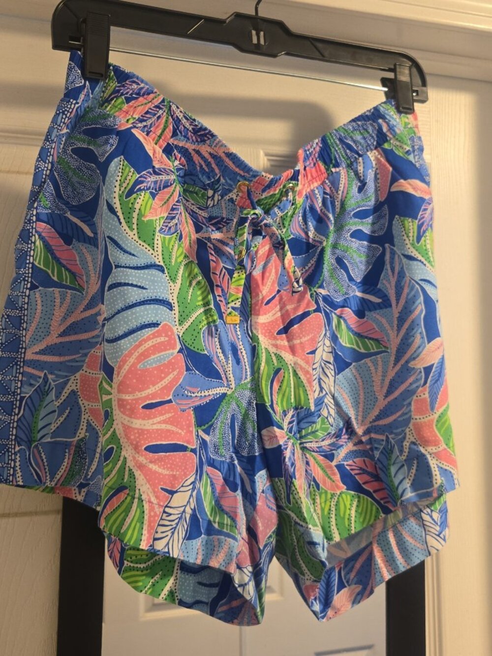 Shorts - Picture 2 of 4